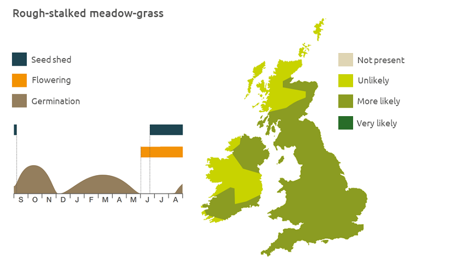 Rough-stalked meadow-grass life cycle and UK distribution